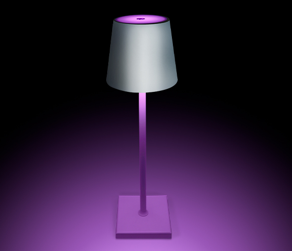 61082/W/RGBW | ONE Light